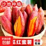 現(xiàn)挖西瓜紅蜜薯沙地香甜軟糯紅心番薯山芋無絲農(nóng)家自種糖心地瓜 優(yōu)質(zhì)西瓜紅 9斤 帶箱 中大果（單果150g-500g） 曬單實拍圖
