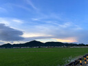 彪馬PUMA經(jīng)典復古拼接休閑鞋男女情侶2025年官方CLUB 397450 40 曬單實(shí)拍圖