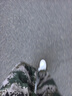 adidas ENTRAP美式校園風(fēng)運動(dòng)板鞋男女少年感復古籃球鞋阿迪達斯 白色/淺藍/灰色   40.5 曬單實(shí)拍圖