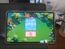 努比亞紅魔電競平板3Pro 9.06英寸OLED電競屏 驍龍8至尊版 8200mAh電池  minipad 游戲平板 12+256G銀翼版  曬單實(shí)拍圖