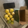 廣西欽蜜9號黃金百香果萬澄當季新鮮大果黃皮果奶茶店水果 【1斤 約11-17個】單果30-45g 曬單實拍圖
