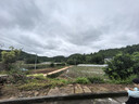 紅衛(wèi)羊脂皂洗臉洗澡香皂清潔控油無(wú)添加手工沐浴皂禮盒羊奶肥皂老國(guó)貨 羊脂潤(rùn)膚皂 120g 1塊 【一皂多用】 5塊裝 曬單實(shí)拍圖