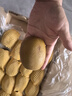佳沛（zespri）新西蘭  陽(yáng)光金果22粒原箱 單果重144-175g 獼猴桃 中秋水果禮盒 曬單實(shí)拍圖
