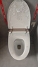 恒潔（HEGII）智能馬桶H5Pro 感應自動(dòng)翻蓋舒沐洗泡沫盾無(wú)水壓限制HC0972U-305 曬單實(shí)拍圖