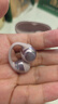 韶音（SHOKZ）【田曦薇同款】OpenDots ONE動鈦圈開放式藍(lán)牙耳機(jī)耳夾式耳機(jī)藍(lán)牙跑步運(yùn)動無線E310七夕禮物柔霧粉 曬單實(shí)拍圖