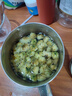 伊梵麥茶胎菊王胎菊正宗桐鄉胎菊特級泡水喝的花茶杭白菊胎菊茶罐裝 新貨胎菊王：實(shí)發(fā)一罐共125克 曬單實(shí)拍圖