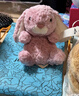 Jellycat粉色郁金香甜美小兔公仔動(dòng)物毛絨玩偶送禮娃娃生日七夕情人節(jié)禮物 粉色 One Size 曬單實(shí)拍圖