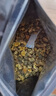陳一凡胎菊花茶250g 精選頭茬無硫熏胎菊特級花蕾去夏季火泡水喝養(yǎng)生茶 曬單實拍圖