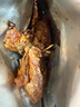 珠江橋豆豉鯪魚(yú)罐頭袋裝便攜開(kāi)袋即食方便食品公司零食下飯菜拌飯 120g*3袋 曬單實(shí)拍圖
