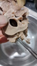 羊小柒寧夏灘羊肉禮盒半只分割凈重10斤羔羊肉生鮮中秋禮盒清真源頭直發(fā) 曬單實(shí)拍圖