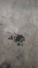 ihold一鍵開蓋雙層玻璃杯防燙男士耐高溫速開飲用水杯子辦公泡茶杯車載 金剛黑 350ml 曬單實拍圖