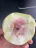 京覓秭歸青皮紅心脆蜜桃凈重4.5斤單果150-220g軟硬兩吃 源頭直發(fā)包郵 曬單實(shí)拍圖
