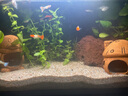 小米魚缸【全新正品】米家智能喂食生態(tài)過濾小型家用循環(huán)魚缸小米魚缸 曬單實拍圖
