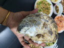 鮮海道 鮮活乳山生蠔5XL 凈重5斤 9-12只 生鮮海鮮貝類 源頭直發(fā) 曬單實(shí)拍圖