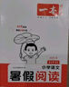 一本小學(xué)語(yǔ)文暑假閱讀二升三年級 2025小學(xué)2升3暑假銜接作業(yè)課外閱讀理解訓練復習鞏固預習提優(yōu)天天練 曬單實(shí)拍圖