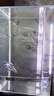 吉印刀鋒s魚缸燈led燈防水全光譜魚缸照明燈水草燈小型超白魚燈36cm 曬單實拍圖