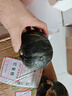 京鮮匠山東正宗真貝貝南瓜 栗香小南瓜 粉糯香甜老瓜蔬菜 產(chǎn)地直發(fā) 精品果 凈重 5斤 曬單實(shí)拍圖