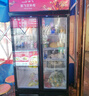 新飛（frestec）展示柜冷藏保鮮柜酒水飲料冰柜雙開門冷藏柜酒店冷藏保鮮柜超市直冷玻璃門風冷無霜冰箱立式冷柜 小雙門黑紅588L【直冷省電】【店長推薦】 曬單實拍圖