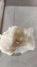正宗連州水晶梨新鮮水果香梨當(dāng)季應(yīng)季皮薄清甜多汁大果禮盒裝梨子 帶禮盒箱10斤【大果】壞果包賠 曬單實拍圖