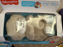 費雪（Fisher-Price）嬰兒玩具安撫玩偶哄睡生日禮物-音樂(lè )安撫酣睡小水獺GHL41 曬單實(shí)拍圖