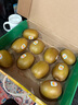 佳沛（zespri）新西蘭  陽光金果10粒巨大果單果約144-175g 中秋水果禮盒 獼猴桃 曬單實拍圖
