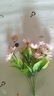 斯沃森（SWARSON）墻貼自粘墻紙貼畫兒童臥室裝飾貼紙防潮防霉背景墻面翻新墻壁貼紙 曬單實拍圖
