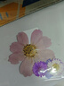 佳茉干花書簽手工diy材料包標本塑封膜壓花瓣創(chuàng)意植物樹葉壓花瓶子送同學收集秋天禮物伴手禮中秋國慶 曬單實拍圖
