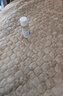 華美科氨甲環(huán)酸精華液醫黃褐斑用祛斑美白提亮去黃改善暗沉膚色濕敷1支 曬單實(shí)拍圖