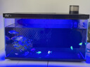 當貝智能生態(tài)魚(yú)缸1Ultra 一體缸自循環(huán)桌面魚(yú)缸+HIDOM增氧泵套餐 曬單實(shí)拍圖