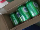 青島啤酒嶗山啤酒嶗山清爽罐啤330ml*20聽(tīng)整箱裝 中秋節送禮 曬單實(shí)拍圖
