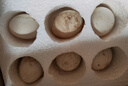 百世富澤（BAISHIFUZE）【百世富澤】黃河灘大鵝蛋新鮮正宗土鵝蛋農(nóng)家自養(yǎng)孕婦超大鵝蛋 6枚115-130克 曬單實拍圖
