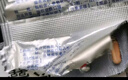 [亞泰] 參一膠囊10mg*16粒/盒 曬單實(shí)拍圖