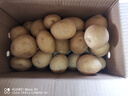 京鮮生恩施小土豆4.5斤單果30-100g 新鮮黃心土豆 馬鈴薯源頭直發(fā) 曬單實(shí)拍圖
