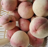 京鮮生  山西水蜜桃 凈重4.5斤 單果150g+ 生鮮水果 源頭直發(fā)  曬單實拍圖