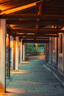 索尼（SONY）FE 50mm F1.4 GM 全畫(huà)幅大光圈定焦G大師鏡頭 人像攝影(SEL50F14GM) 曬單實(shí)拍圖