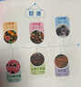 認物大全 兒童早教啟蒙書(shū) 兒童繪本 嬰幼兒?jiǎn)⒚烧J知早教書(shū) 0到3歲2歲寶寶益智書(shū)籍 一歲半寶寶看的書(shū) 圖書(shū)書(shū)本識字卡片兩三歲看圖識物 認物大全 600例 曬單實(shí)拍圖