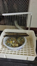NES鸚鵡洗澡盆自動循環(huán)牡丹虎皮洗澡盆大號玄鳳八哥小鳥專用洗澡神器 白色【雙排噴頭】雨淋洗澡盆套裝 曬單實拍圖