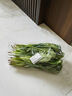 【產地直采】大菠菜300g 曬單實拍圖
