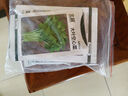 北蔬蔬菜種子空心菜莧菜木耳菜黃瓜快菜耐熱種籽 6種耐熱蔬菜種子套裝 曬單實(shí)拍圖