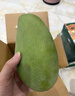 京鮮生 樹上熟 即食凱特芒果 5斤禮盒裝 4-6顆 生鮮水果 曬單實拍圖