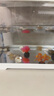 闊庭（KUOTING）魚(yú)缸懶人魚(yú)缸家用客廳辦公室金魚(yú)缸過(guò)濾魚(yú)缸白色款 曬單實(shí)拍圖