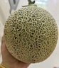 京鮮生蜜蜂授粉牛三蜜瓜網(wǎng)紋瓜 單果2斤起 凈重8-9斤 2-4粒裝源頭直發(fā) 曬單實(shí)拍圖