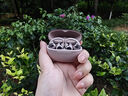 韶音（SHOKZ）【田曦薇同款】OpenDots ONE動(dòng)鈦圈開放式藍(lán)牙耳機(jī)耳夾式耳機(jī)藍(lán)牙跑步運(yùn)動(dòng)無線E310七夕禮物柔霧粉 曬單實(shí)拍圖
