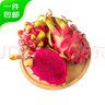 京鮮生越南進口紅心火龍果 4個裝 單果450-500g 水果 源頭直發(fā) 一件包郵 曬單實拍圖