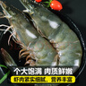 海云馨蝦活蝦速凍生鮮青島大蝦海蝦海鮮水產(chǎn)鮮活冷凍凍蝦超大白蝦 14-17cm整箱 3斤(凈重)  活蝦速凍 曬單實(shí)拍圖
