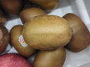 佳沛（zespri）新西蘭陽光金奇異果原箱 16粒巨無霸 單果重約202-230g   獼猴桃 曬單實拍圖