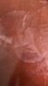積優(yōu)（JEAYOU）手表帶真皮男士適用天梭力洛克庫圖浪琴名匠歐米茄蝶飛漢密爾頓美度西鐵城天王精工海鷗飛亞達女 曬單實(shí)拍圖