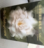 babycare山茶花防溢乳墊 一次性超薄柔軟透氣防溢乳貼乳墊 120片 曬單實(shí)拍圖