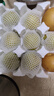 京覓 碭山青皮蜜梨 單果200g起 凈重4.5斤起 生鮮水果 源頭直發(fā)  曬單實(shí)拍圖