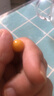 綠儂珠寶  雞油黃老蜜蠟散珠圓珠子手串手鏈隔珠星月菩提DIY配珠 直徑約10mm/顆 【滿(mǎn)蜜雞油黃】 曬單實(shí)拍圖